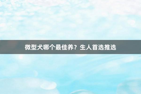 微型犬哪个最佳养？生人首选推选
